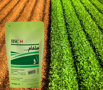 fungicides1