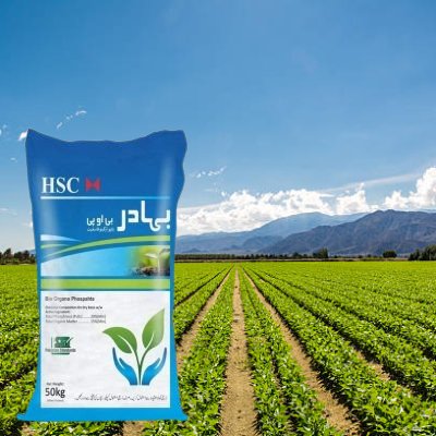 micro nutrients
