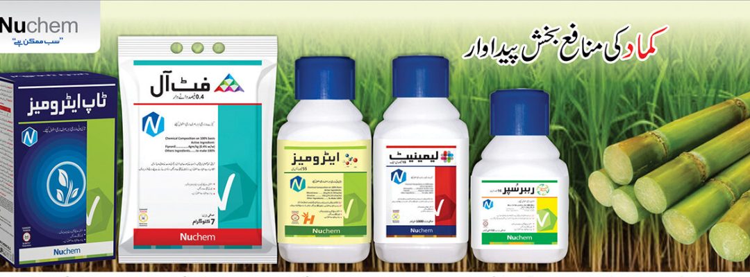 nuchem sugercane 1