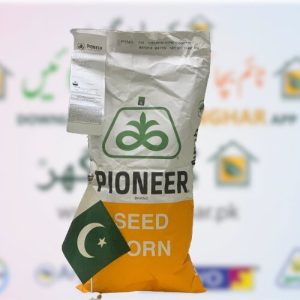 P2088 Hybrid Corn Seed Pioneer Brand
