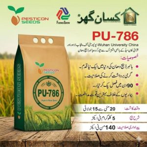 PU786 5KG Hybrid Rice Seed PU 786 – High Yield & Heat Tolerant Long Grain Type | پنجاب یونیورسٹی 786 ہائبرڈ چاول کا بیج Punjab University And China PU 786