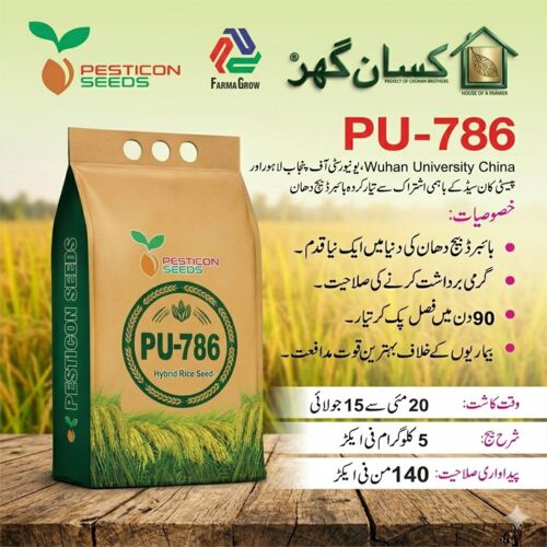 PU786 5KG Hybrid Rice Seed PU 786 – High Yield & Heat Tolerant Long Grain Type | پنجاب یونیورسٹی 786 ہائبرڈ چاول کا بیج Punjab University And China PU 786